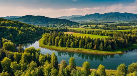 Crystal clear mountain stream in peaceful forest.