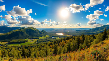 Bright summer meadow under clear blue sky.