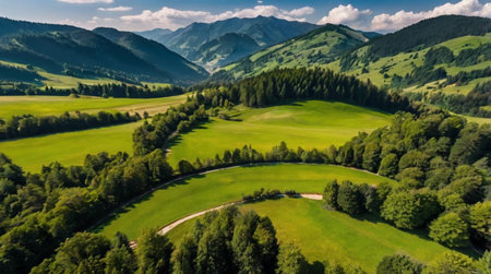 Aerial view of a green field in the Carpathian Mountains