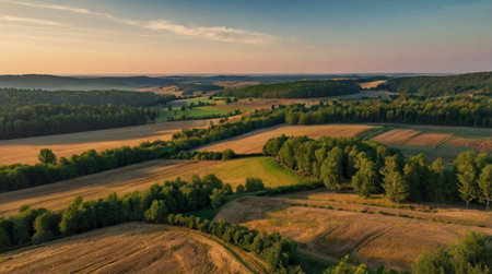 Aerial view of beautiful summer landscape with fields and forests at sunset.
