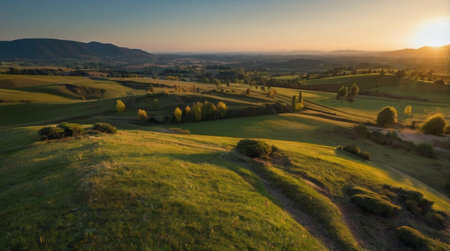 Aerial view of a green meadow in the countryside at sunset