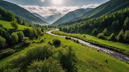 Aerial view of a mountain river in the Carpathian mountains