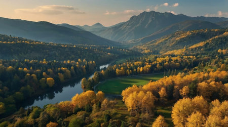 Fog slowly moving through a silent forest.の写真素材