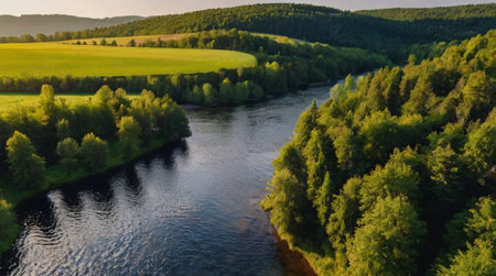 Aerial view of the river and forest. Beautiful summer landscape.の写真素材