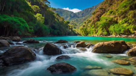 Panoramic view of beautiful turquoise river flowing through green forest