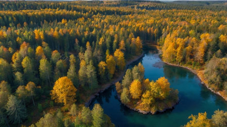 Aerial view of the autumn forest and river. Beautiful autumn landscape.