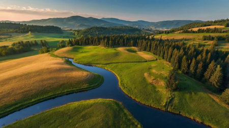 Aerial view of a small river in the Carpathian mountains