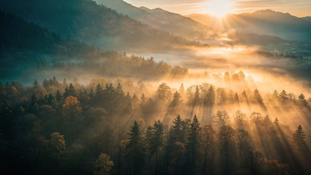 Morning fog in the mountains. Beautiful autumn landscape. Carpathians, Ukraine, Europe.
