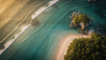 Aerial view of beautiful tropical beach and sea with coconut palm tree