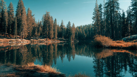 Mountain lake in the autumn forest. Beautiful landscape with a lake.
