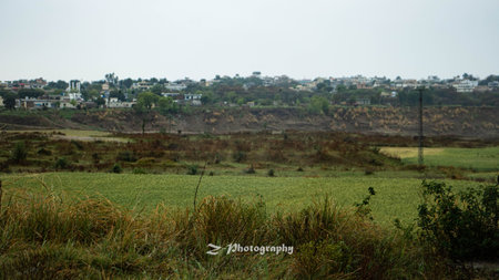 Landscape with rice fields and houses in the city of Essaouira