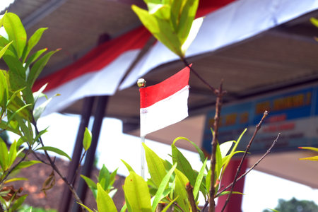 miniature image of the Indonesian state flagの写真素材