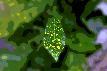 vector leaves of plants in the gardenの写真素材