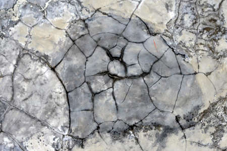 texturedの写真素材