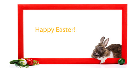 brown and white bunny in red frame, near - many colorful eggs in basket isolated on white