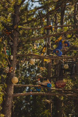 toys on the tree in the park