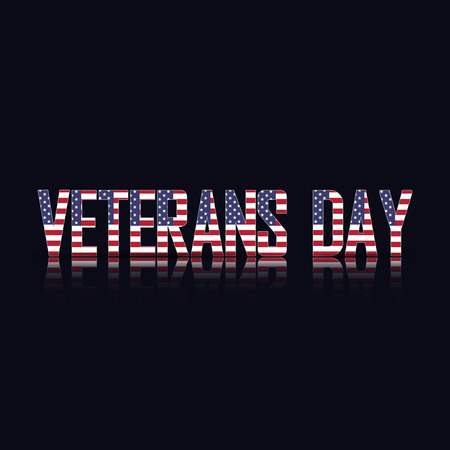 Veterans day of american flag, vector illustrationのイラスト素材