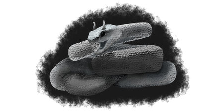 a hand-drawn tattoo of a horned viper snake amidst the gloom