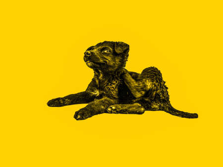 Cartoon illustration of a punk puppy on an isolated yellow backgroundの写真素材