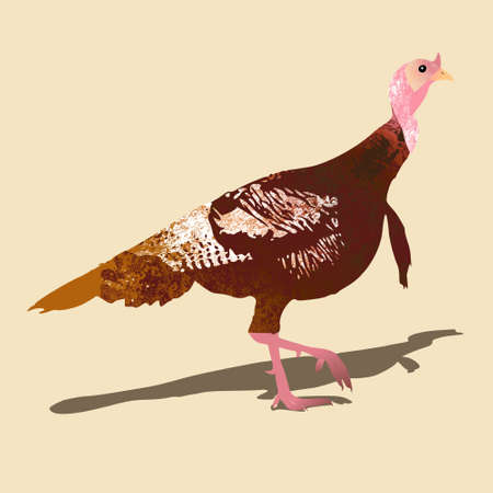 Cartoon illustration of running turkey, vector