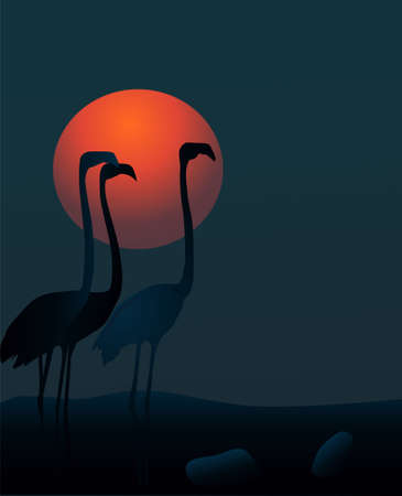Vector illustration of night scene with flamingos for t-shirt template, background.のイラスト素材