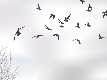 winter skyscape with mallardsのイラスト素材