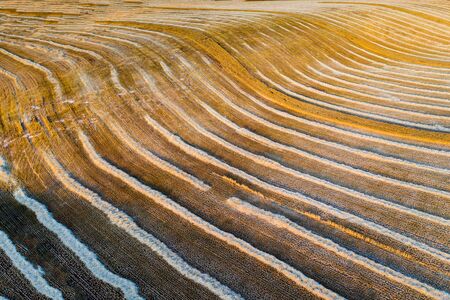 Cereal fields in Castilla y Leon Spain bird´s eye viewの写真素材