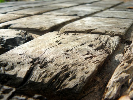 Texture design of the natural wooden table background.の写真素材