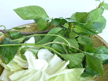 Vegetable set for healthy diet food. The green Sweet Basil or Thai Basil and white cabbages. Isolate on white background.の写真素材
