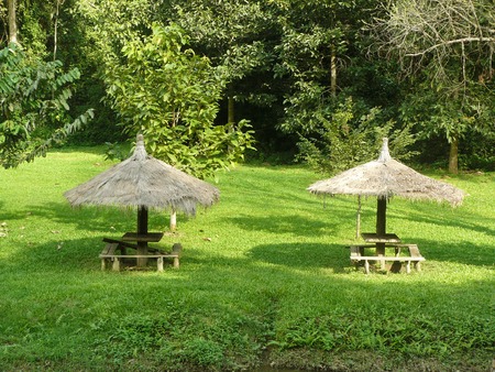 Couple of square wooden bench under straw parasol of relaxing corner in the forest park.の写真素材