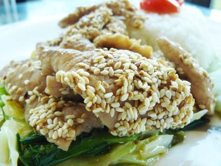 Pork fried Korean sauce and Thai rice. Asian fusion food. Fried sliced pork with white sesame sauce on stir fried vegetables served with rice, cucumber and tomato.の写真素材