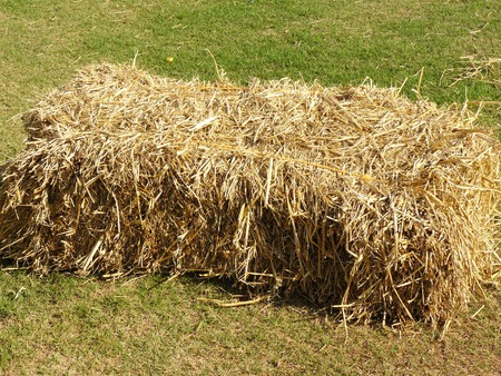Close up of stack of dry straw or hay close up background texture.の写真素材