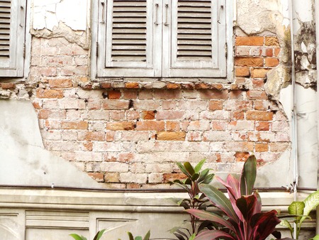 Cracked old cement wall seeing red brick stone beneath it, with the old vintage windows and a plant...