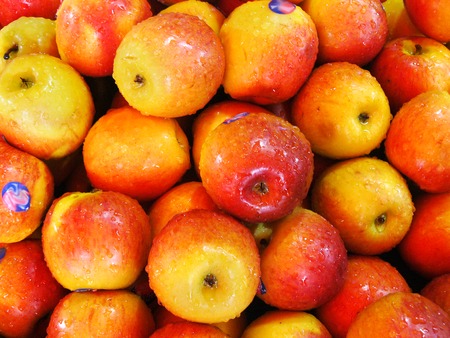 Fresh group of apples fruit and water drop Close up for background.の写真素材