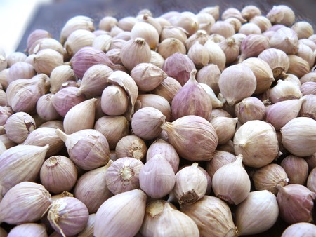 Garlic cloves close up for texture and background.の写真素材