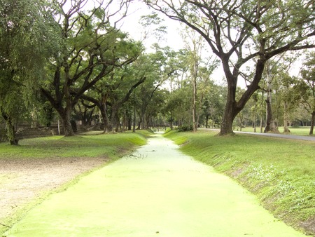 Fantasy scenery, Landscape of the green canal covered by mosquito fern in green forest at Si Satchanalai Historical Parkの写真素材