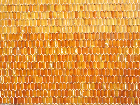 Red mosaic brick. Tiles background of the wall.の写真素材
