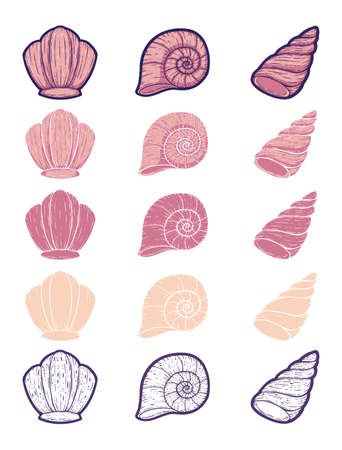 Seashells design in line art style and solid flat colors. Beautiful shell perfect for summer and any beach theme occasions.のイラスト素材
