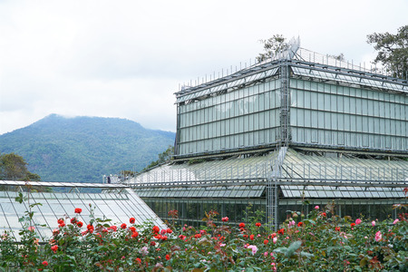Green house buildings for a variety of plants. To control temperature and airflow.の写真素材