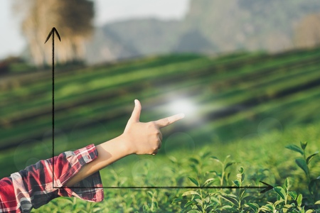 Infographics of Beautiful hand pointing toward the sky, surrounded by nature. Goal setting concept Reaching the goal Walking further aheadの写真素材