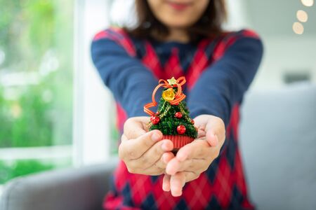 Close up shot of female hands holding a small Christmas tree Celebrate Christmas on December 25 every year. enjoying Christmas holiday at homeの写真素材