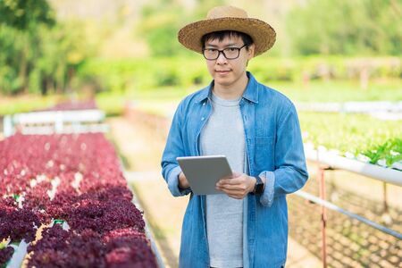 Portrait of young smart farmer using digital tablet computer for inspecting. using technology in...