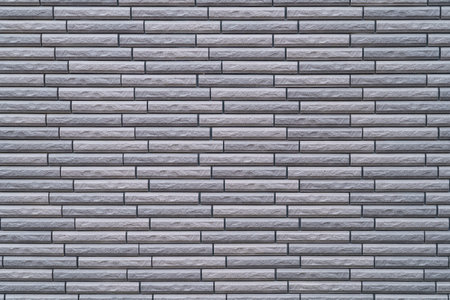 black and white tone walls of houses are popular in Japan. Can be heat and cold insulation, temperature control, home. as background interior decoration concept with copy space.の写真素材