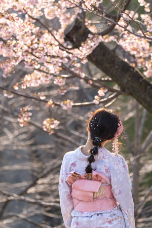 Young girl wearing Japanese kimono standing in front of Sensoji Temple in Tokyo, Japan. Kimono is a Japanese traditional garment. The word "kimono", which actually means a "thing to wear"の写真素材