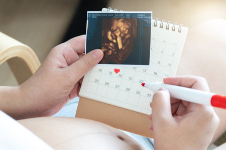 Pregnant women should prepare for childbirth by attending prenatal classes, packing a hospital bag, and arranging transportation. Itâs essential to have a birth plan, ensure all necessary documentsの写真素材