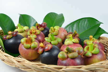 Mangosteen in the basket on white background.の写真素材