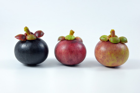 Asian fruit mangosteen tree colour on white background.