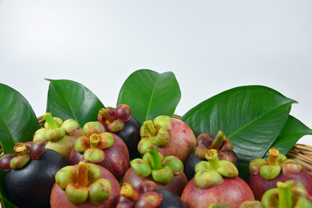Asian fruit mangosteen on white background.の写真素材