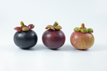 Asian fruit mangosteen tree colour on white background.の写真素材