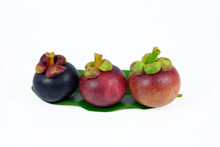 Asian fruit mangosteen on white background.の写真素材